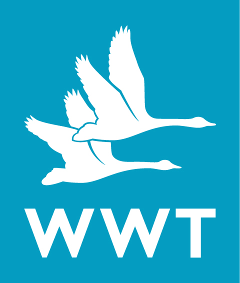 WWT